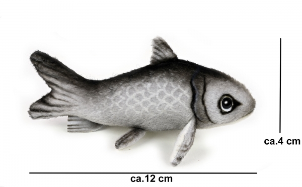 kleiner Hering (Sprotte) ca. 12 cm